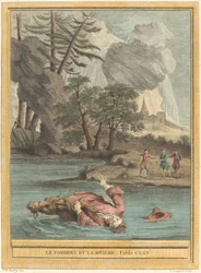 Der Strom und der Fluss