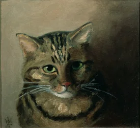 Eine Kopfstudie einer getigerten Katze