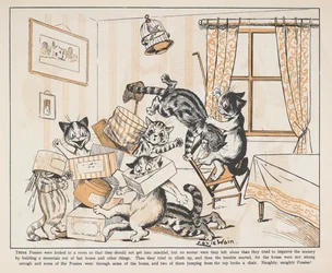 Katzen spielen mit Kisten in einem Raum