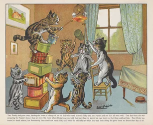 Katzen spielen mit Kisten in einem Raum