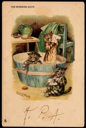Das morgendliche Bad. Tiere in menschlicher Haltung. Katzen nehmen ein Bad in einer Schüssel. Postkarte. Chromolithographie von Louis Wain (1860-1939), englischer Künstler bekannt für seine Darstellung von Katzen mit großen Augen. Anfang des 20. Jahrhunder