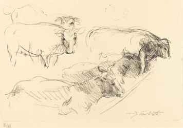 Kühe, 1910