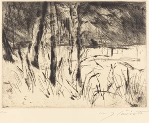 Tiergarten