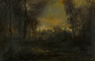Sumpfige Landschaft