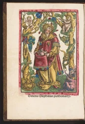 Hl. Stephanus