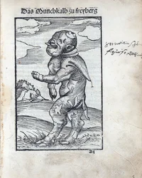 Mönchskalb von Freiberg, von Lucas Cranach dem Älteren (1472-1553)