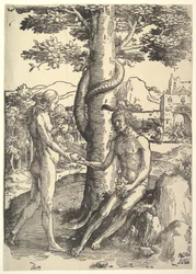 Der Sündenfall, Adam und Eva, ca. 1514