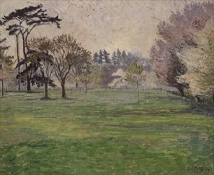 Blüte, Sonne und Nebel: Chipperfield