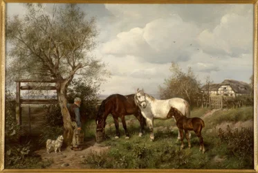 Auf dem Lande