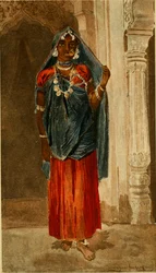 Annalen des Naturhistorischen Museums in Wien (1890)