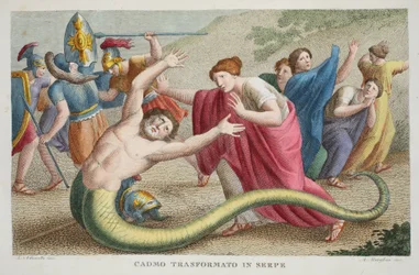 Kadmos wird in eine Schlange verwandelt, Buch IV, Illustration aus Ovids Metamorphosen, Florenz, 1832