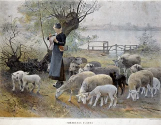 Erste Blumen: Eine Schäferin, umgeben von ihren Schafen, steckt Blumen in ihren Hut