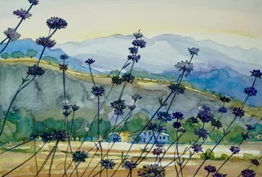 Lavendel Bergblick