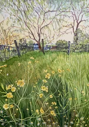 Wiesenblumen und Zaun