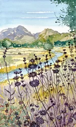 Bergfluss Wildblumen