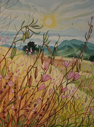 Rosa Feld Sonnenaufgang