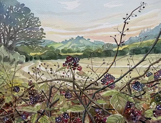 Reife Brombeeren Landschaft