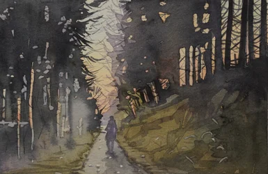 Dämmerung Waldspaziergang