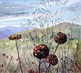 Wildblumen und Berge
