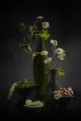 Gänseblümchen und frische Erzeugnisse