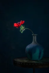 Dunkle Anemonenvase