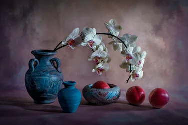 Elegantes Orchideenstillleben