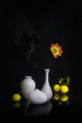 Stimmungsvolles Stillleben mit Blumen und Obst