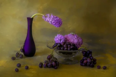 Opulentes violettes Stillleben