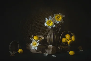 Frühlingsnarzissen und Zitronen