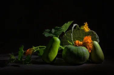 Lebendiges Ernte-Stillleben