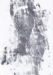 Abstrakte Blatttexturen