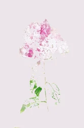 Abstrakte rosa Blüte