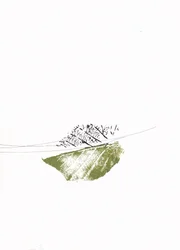 Grüne Blätter und kahle Zweige