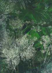 Blüten auf einer saftig grünen Wiese