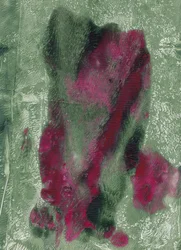 Lebhaftes Magenta-Grün Abstrakt