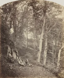 Ein Pfad durch einen Wald