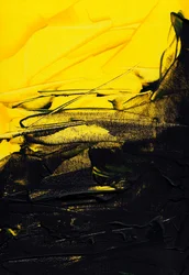 Ohne Titel