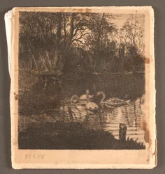 Motiv mit Schwänen. Frederiksberg Garten