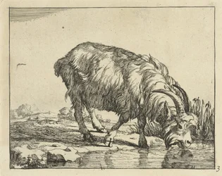 Trinkender Bock