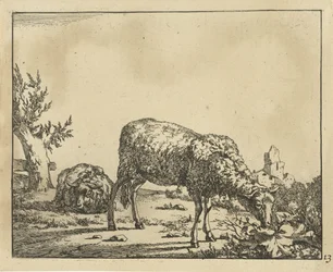 Weidendes Schaf und liegendes Schaf am Zaun