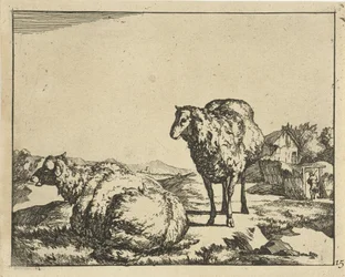 Stehendes und liegendes Schaf mit Bauernhof im Hintergrund