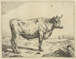 Stier, nach rechts stehend, mit Vögeln