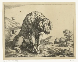 Zeug sitzend auf Hinterpfoten