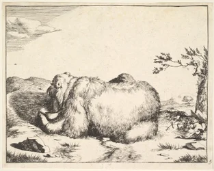 aus der Serie Die Bären, ca. 1664