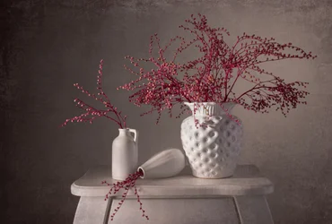 Elegantes Beeren Stillleben