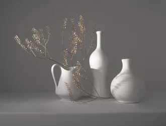 Minimalistisches Botanisches Stillleben