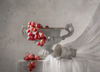 Rote Trauben Stillleben