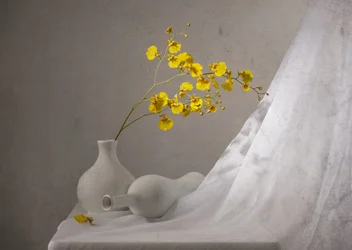 Gelbe Orchideen-Stillleben