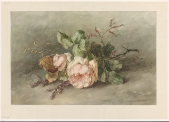 Rosen