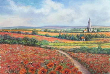Mohnfeld in den Cotswolds, 2022